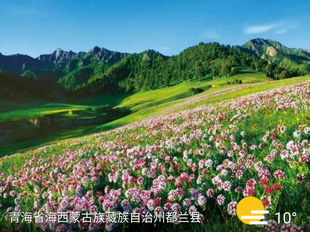 美丽的都兰海寺花海 大美青海 第2张